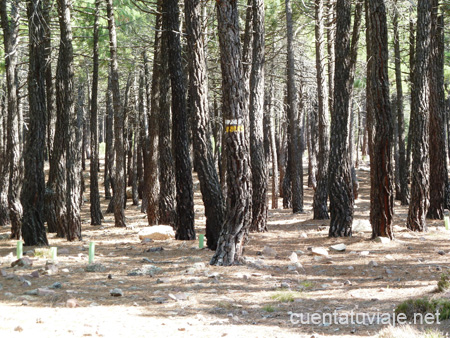 Ruta al Pico de Santa Bárbara, Pina de Montalgrao (Castellón)